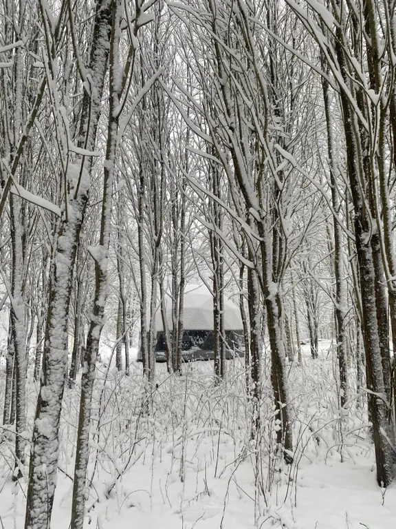 Коттедж 1-комнатный Дом — Дубна