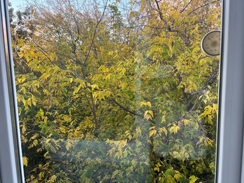 Квартира для дружной семьи | Квартирный вопрос