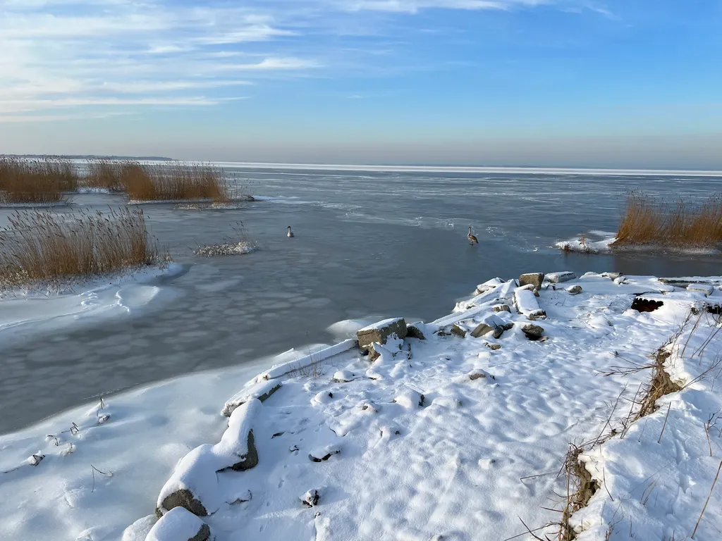 Коттедж Гостевой Дом Ветрово — Сосновка