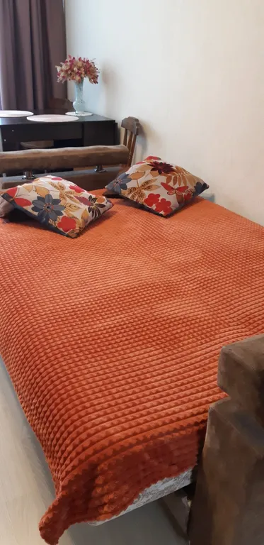 Уютная квартира у озера