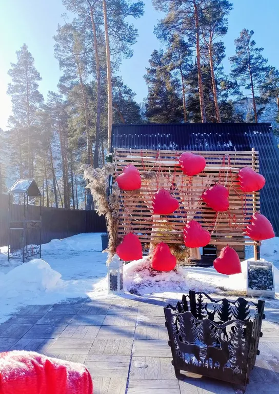 Дом у Катуни среди гор и многолетних сосен