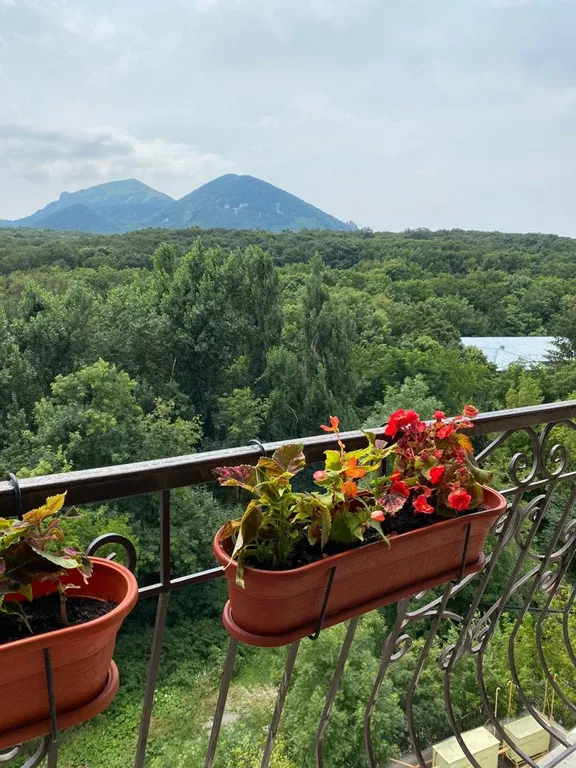 Квартира в самом центре города