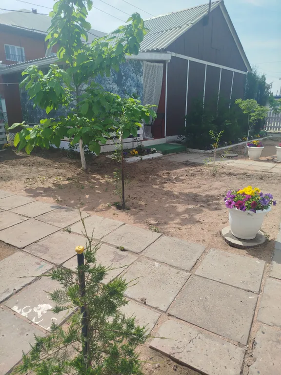 Домики на берегу моря