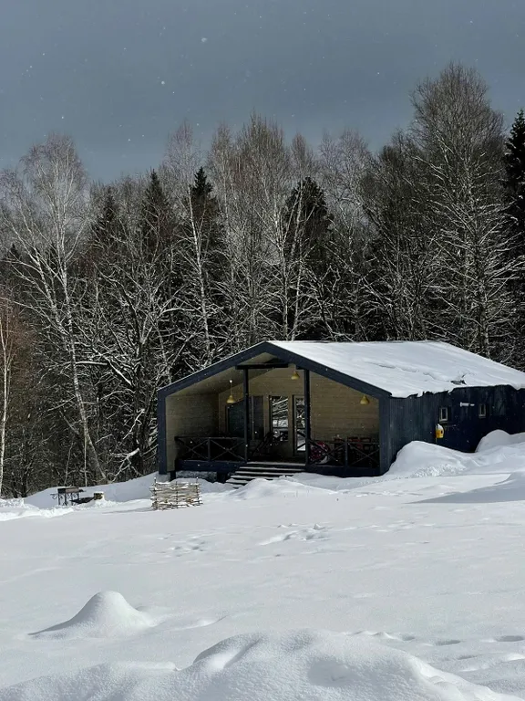 Коттедж Дом в лесу Нарская заимка с баней — Рогово