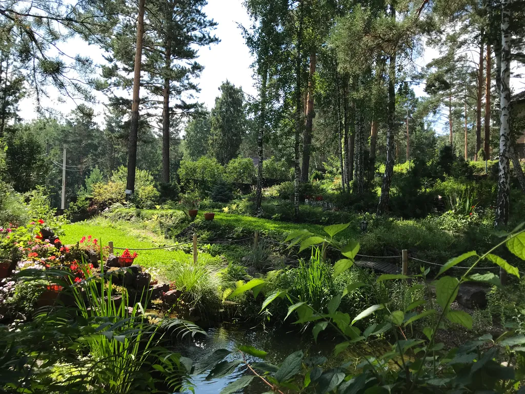 Сказочный дом в лесу