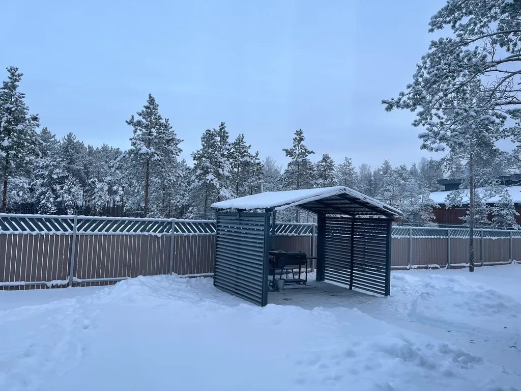 Коттедж Новогодний котедж в 30 минутах от центра Санкт-Петербурга — Сестрорецк