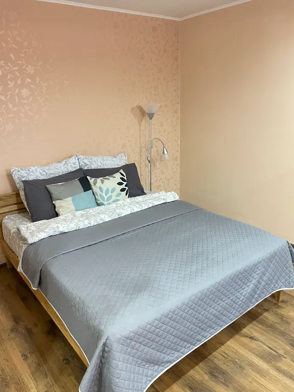 Уютная квартира на главной улице Бреста