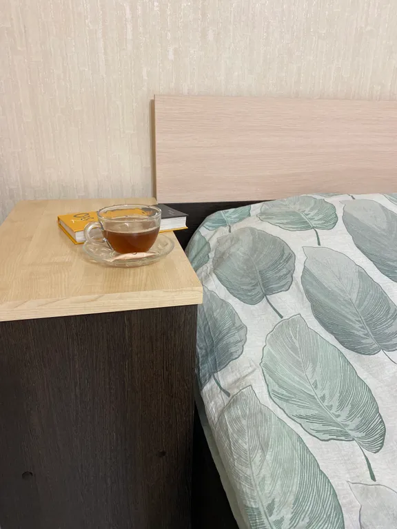 Однокомнатная квартира в центре Мурманска