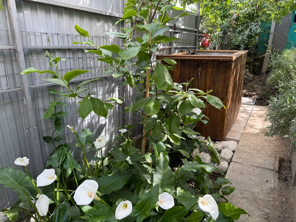 4-комнатный Дом