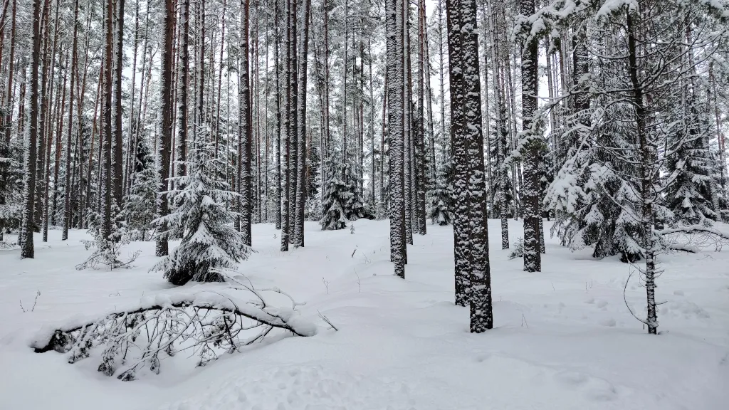 Коттедж Коттедж Амфрейм 6 местный у озера с баней, чаном и детской площадкой с батутом — Ланино