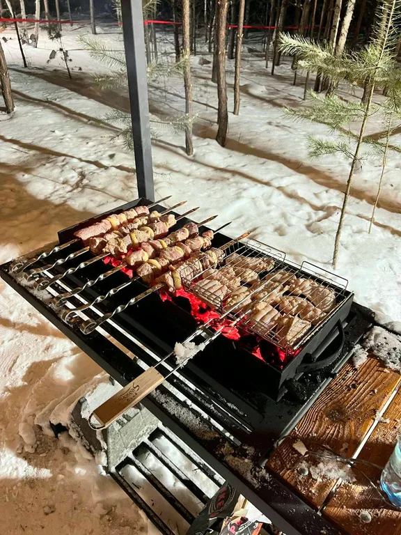 Загородный дом в лесу