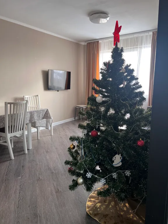 Уютная НОВОГОДНЯЯ квартира возле ПАРКА