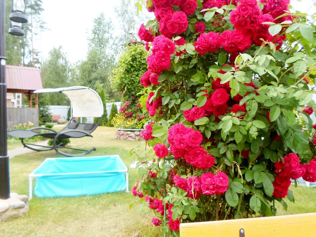 2-комнатный Дом