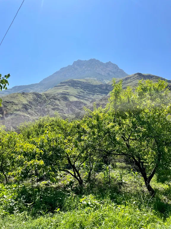 Коттедж Дом в саду Дорголи — Чирката