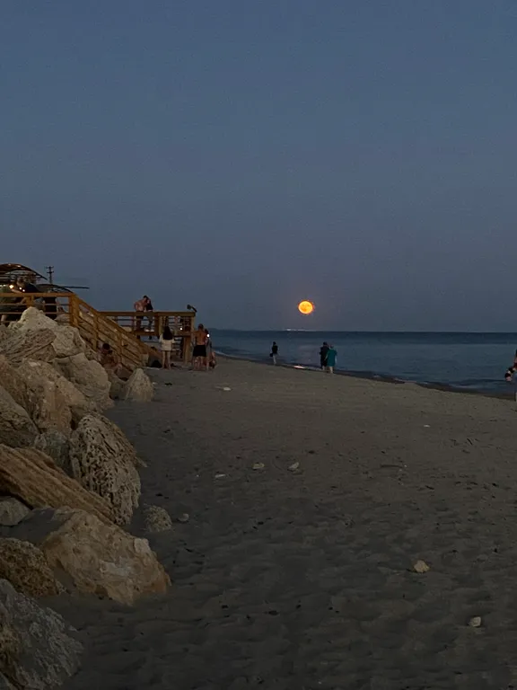 Уютные апартаменты с бассейном на берегу моря