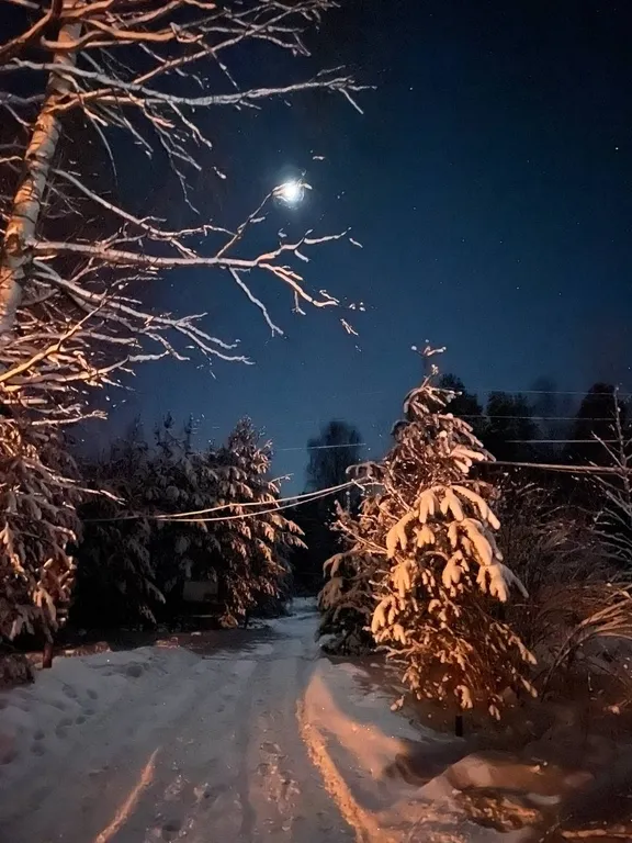 Коттедж Домик в лесу — Нижний Новгород