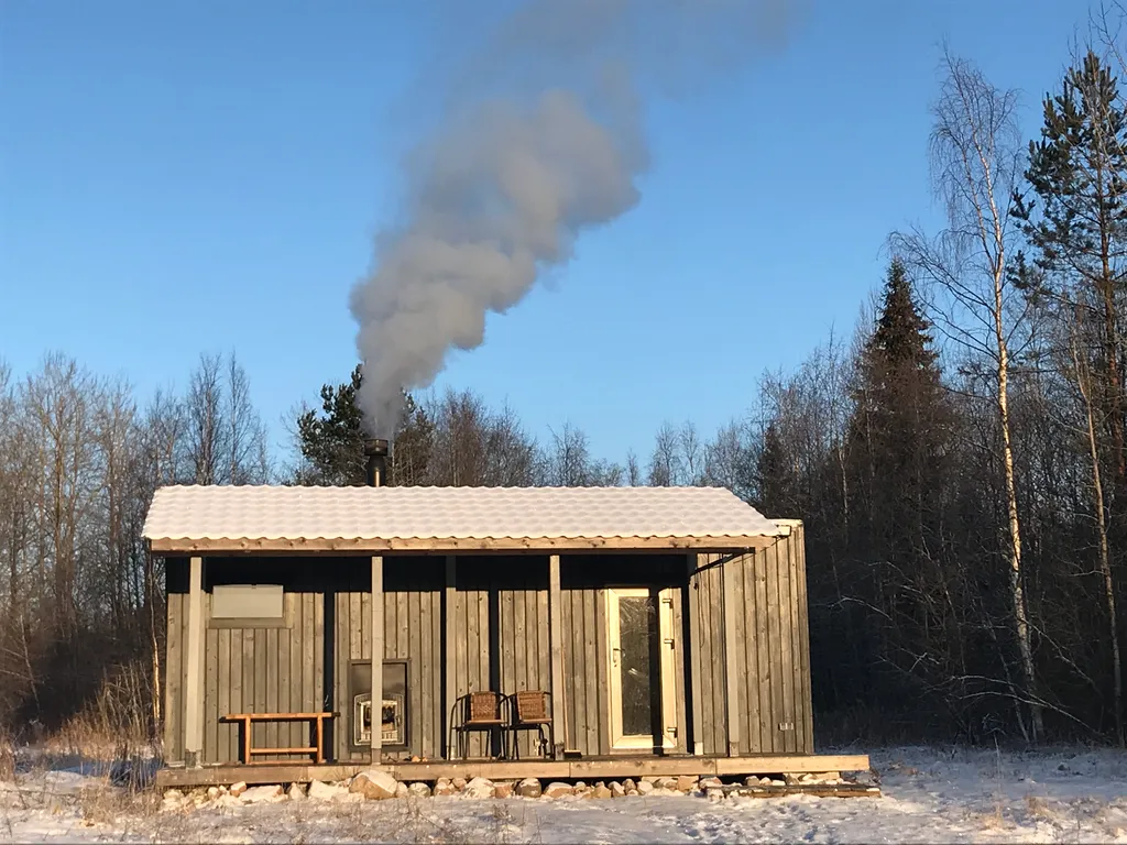 Загородный дом в лесу на Финском заливе