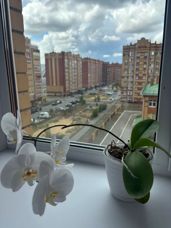 Уютная 1-комнатная квартира с кухней-гостиной рядом с набережной Брюгге