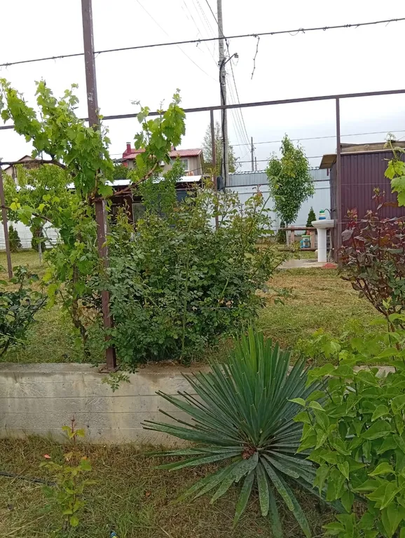 Уютный дом у моря