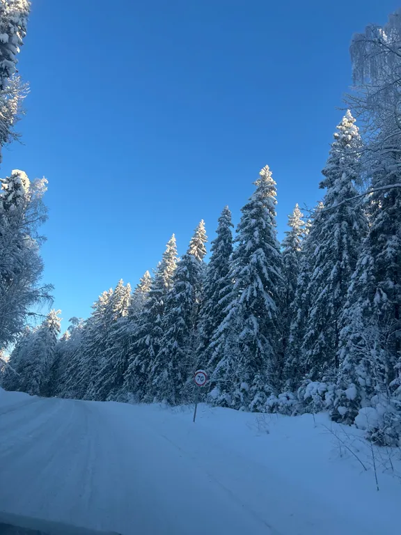 Дом Karelia Haus Онежский берег