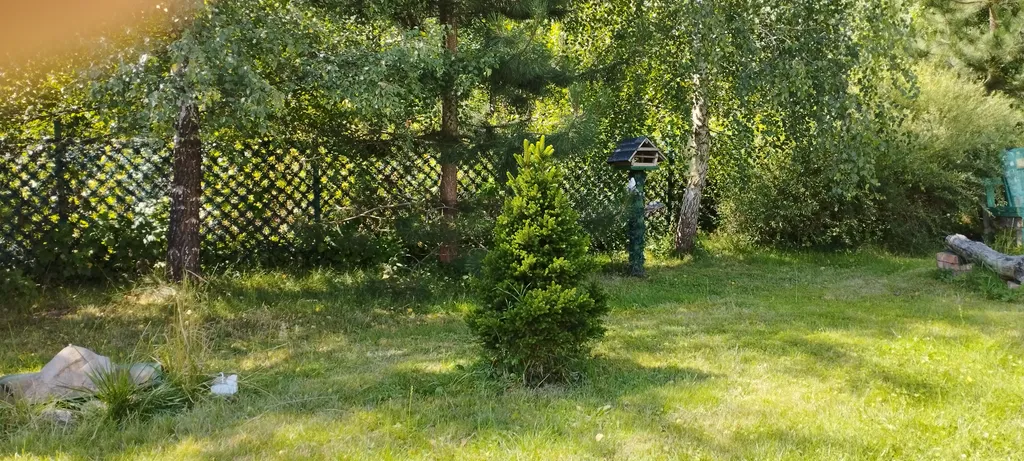 Коттедж Гостевой дом в тишине — Калининград