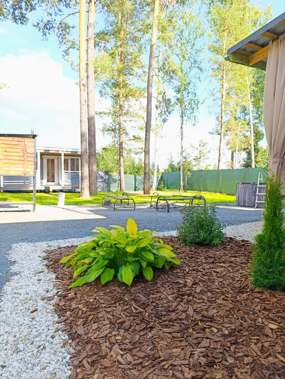 Дом комфорт класса у леса