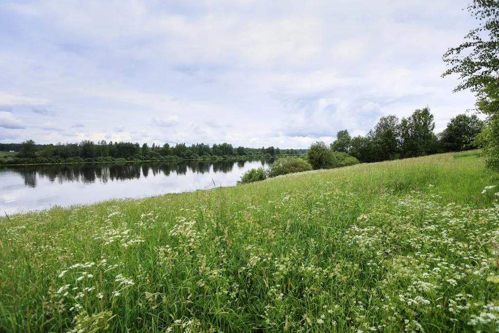 Уютный коттедж с баней на территории