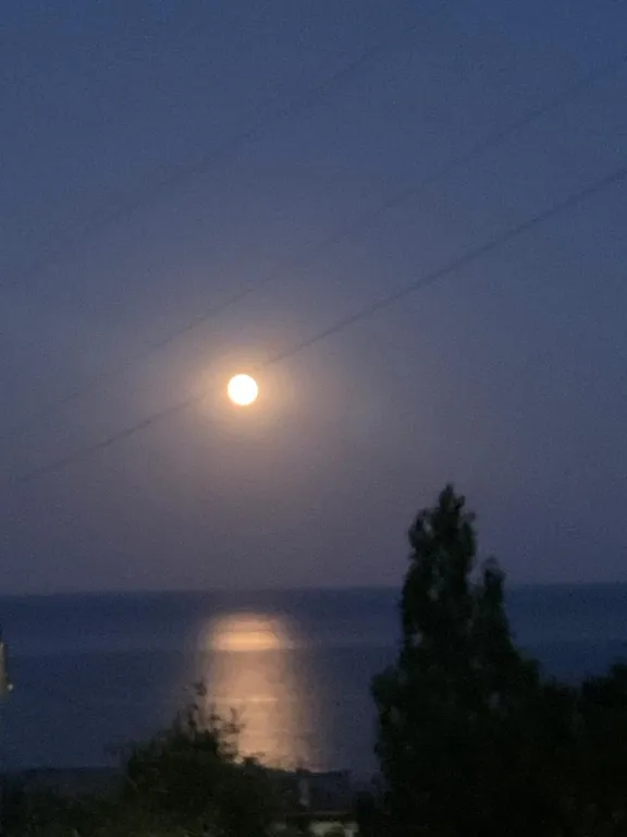 Студия с видом на море и бассейн