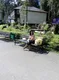Роза