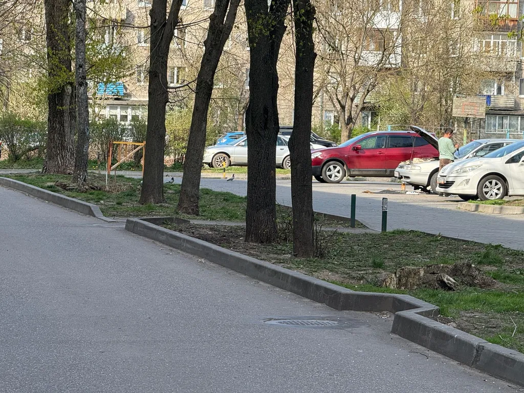 Квартира 3-х комнатная квартира с гостиной с видом на сады — Калининград