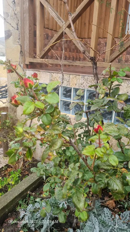 2хместная комната с балконом