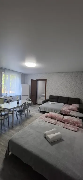 Уютные двухкомнатные апартаменты