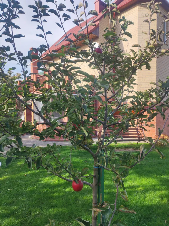 Уютный кирпичный коттедж с баней на дровах и велосипедами для прогулок