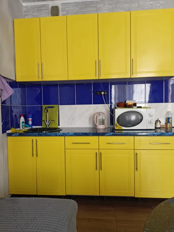 Студия в Новом свете