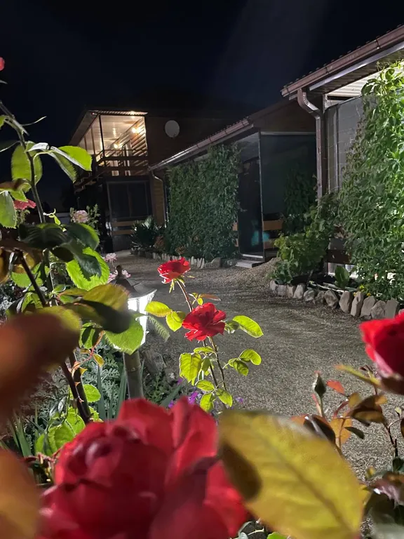 Море у дачи