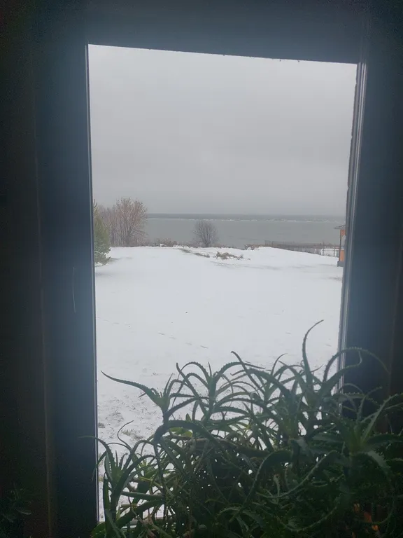 Усадьба Моряка