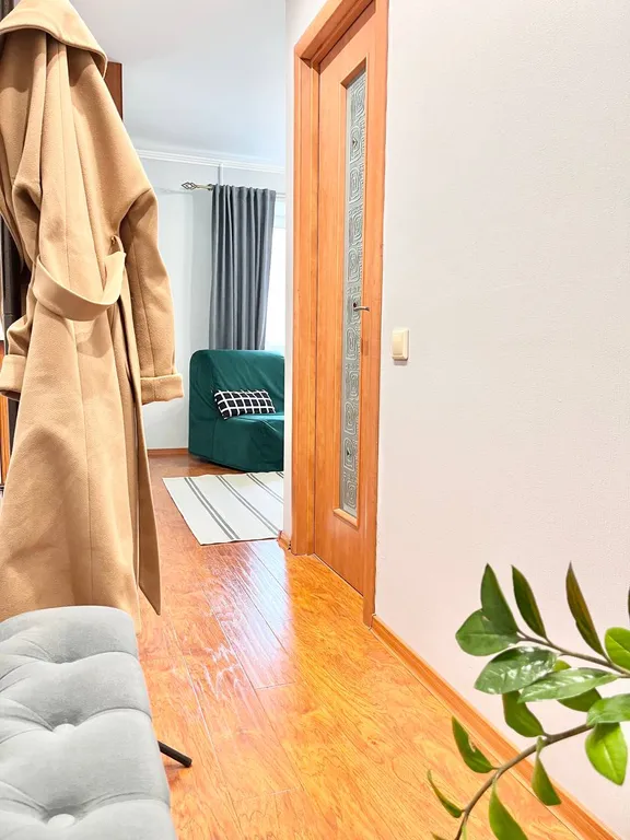 Стильные апартаменты рядом с ж/д вокзалом, Лимфатек, эспланадой