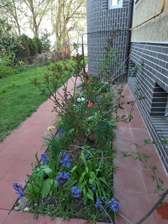 Sunsethouse - апартамент №2 с большой террасой с видом на море