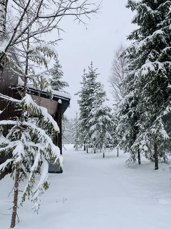 Можжевеловой эко-дом и баня в Подмосковье