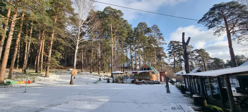 Уютный Дом в Лесу в Аникино