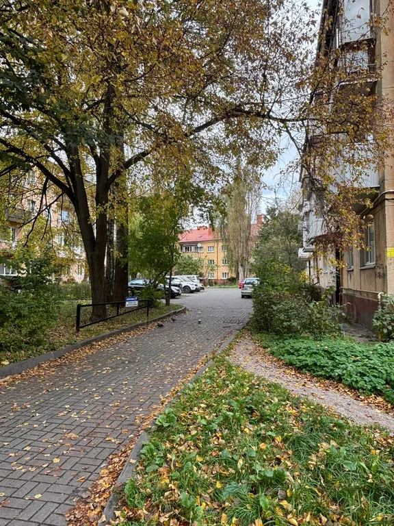Квартира Уютная квартира в самом центре Калининграда — Калининград