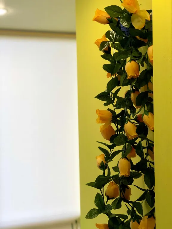 Апартамент apartville