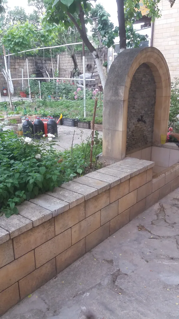 Сад с родником во дворе.