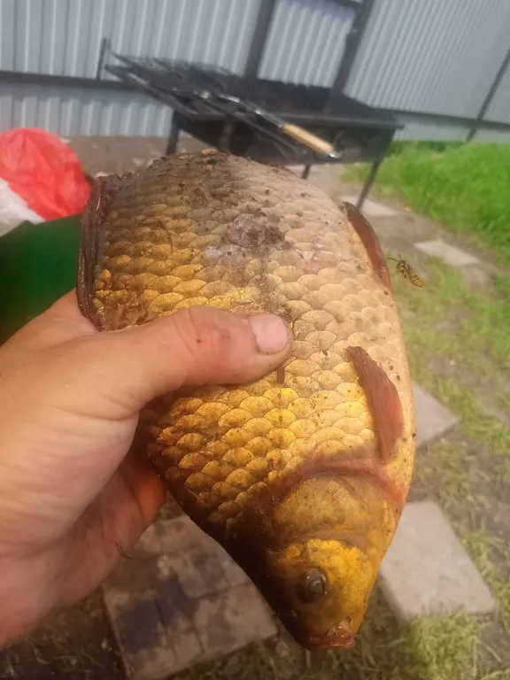 Коттедж Уютный домик у реки в черте Казани — Казань