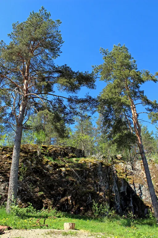 Ласточкино гнездо