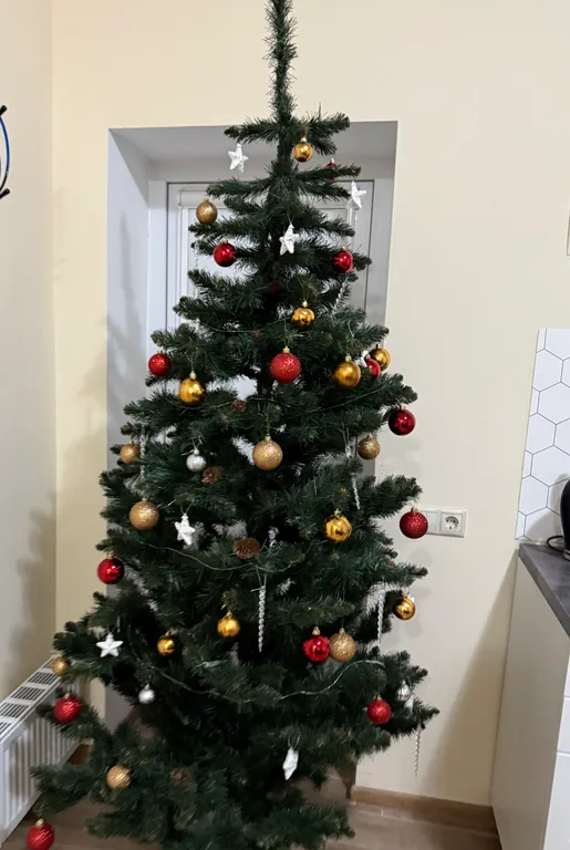 Квартира Квартира Шестиместный номер с потрясающим видом на горы, с отдельным входом — Архыз