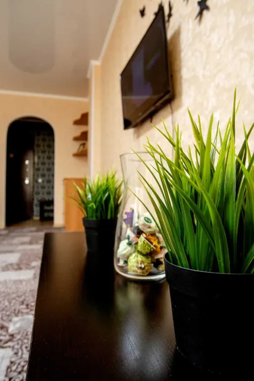 Квартира Апартаменты на левом берегу — аренда посуточно в Омск