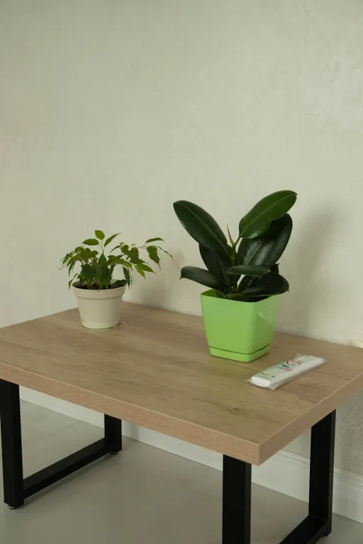 Квартира Квартира у моря — Светлогорск