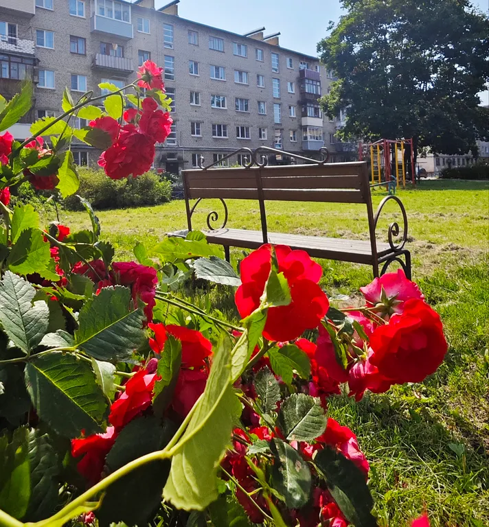 АртДом у красного поля