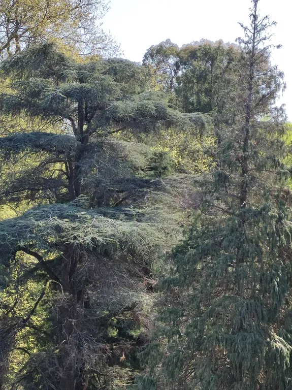 Квартира Квартира Студия в Парке — Сириус